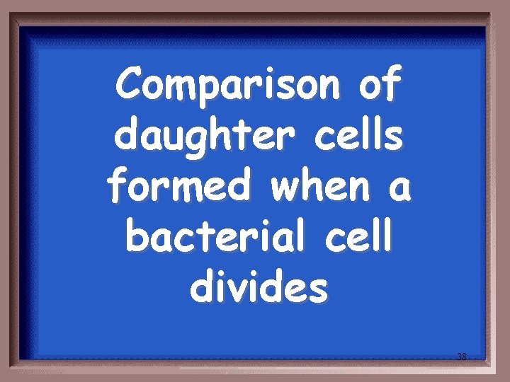 Comparison of daughter cells formed when a bacterial cell divides 38 