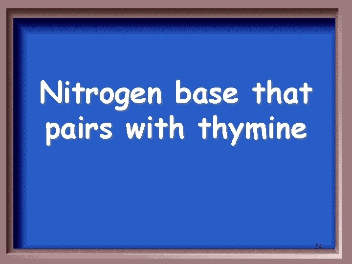 Nitrogen base that pairs with thymine 54 