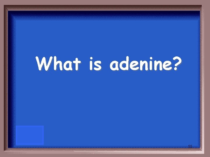 What is adenine? 55 