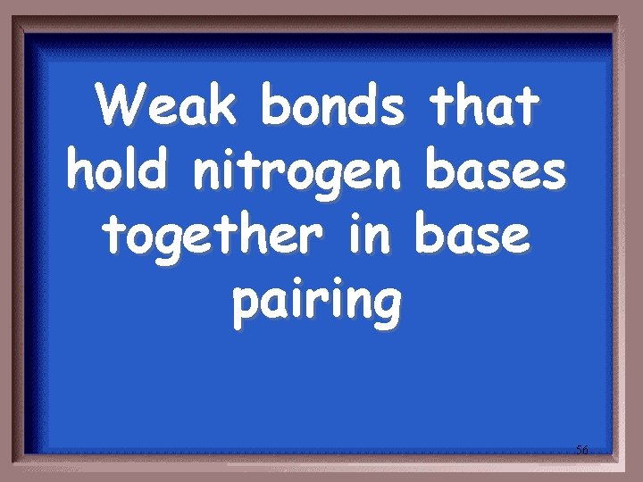 Weak bonds that hold nitrogen bases together in base pairing 56 