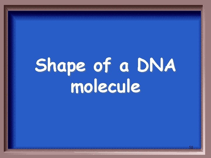 Shape of a DNA molecule 58 