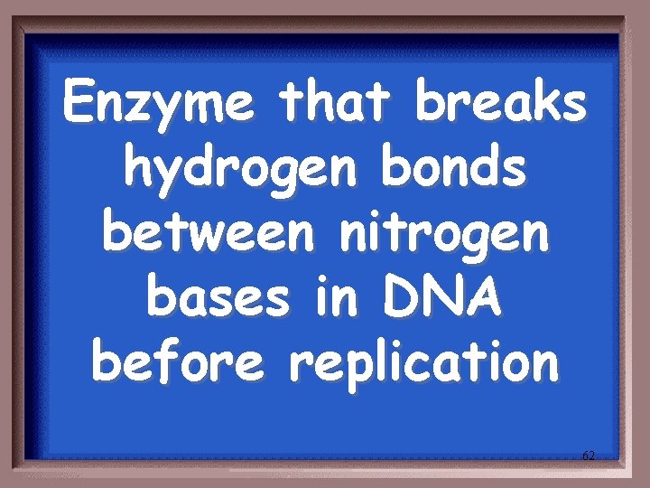 Enzyme that breaks hydrogen bonds between nitrogen bases in DNA before replication 62 