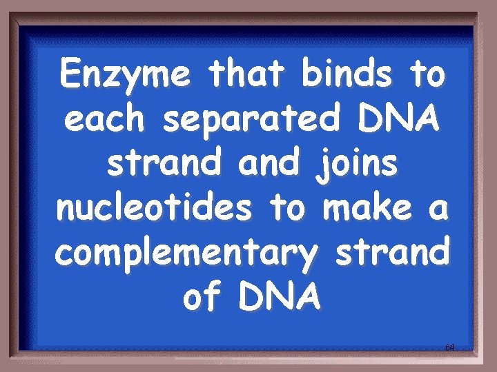 Enzyme that binds to each separated DNA strand joins nucleotides to make a complementary