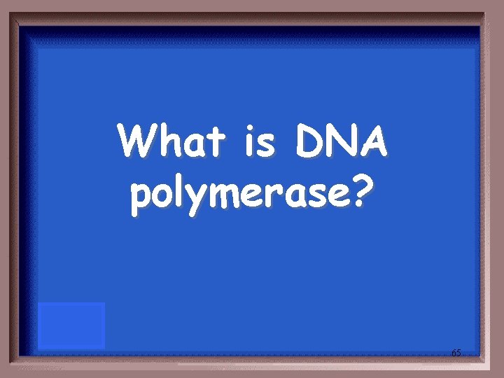What is DNA polymerase? 65 