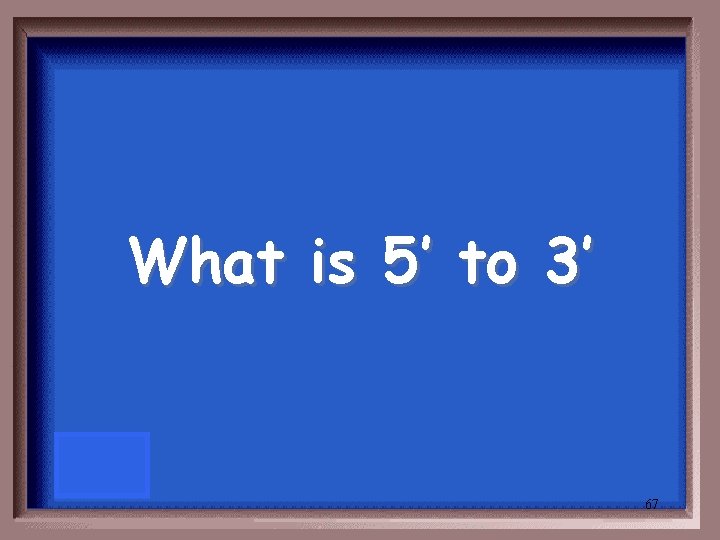 What is 5’ to 3’ 67 