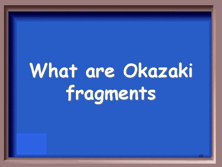What are Okazaki fragments 69 