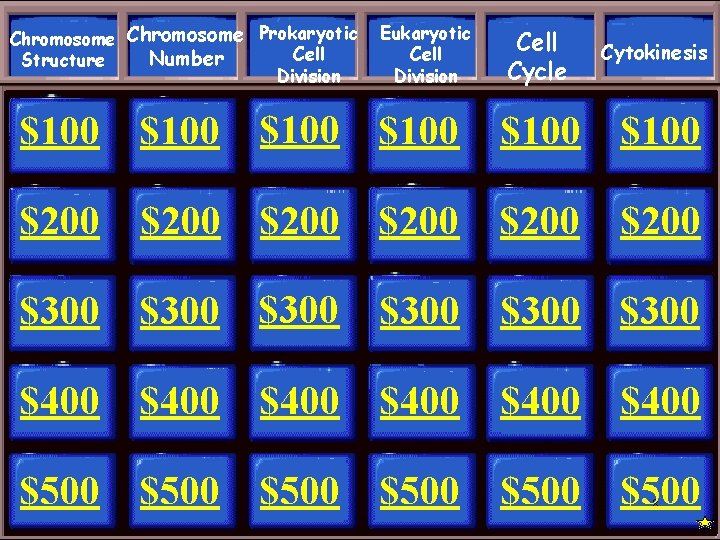 Chromosome Prokaryotic Cell Number Structure Division Cell Cycle Cytokinesis $100 $200 $200 $100 $200