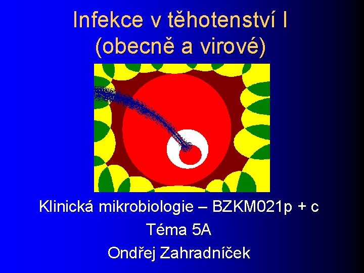 Infekce v těhotenství I (obecně a virové) Klinická mikrobiologie – BZKM 021 p +