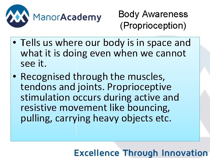 Body Awareness (Proprioception) • Tells us where our body is in space and what