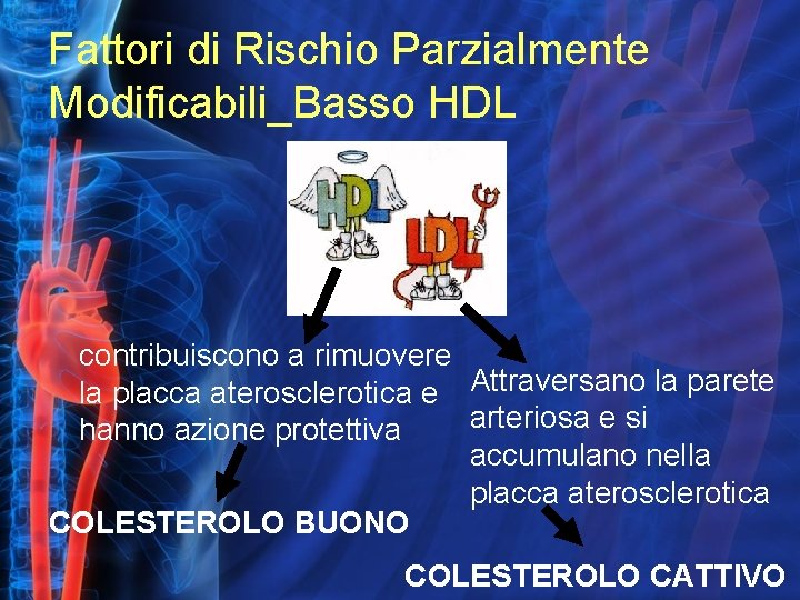 Fattori di Rischio Parzialmente Modificabili_Basso HDL contribuiscono a rimuovere la placca aterosclerotica e Attraversano