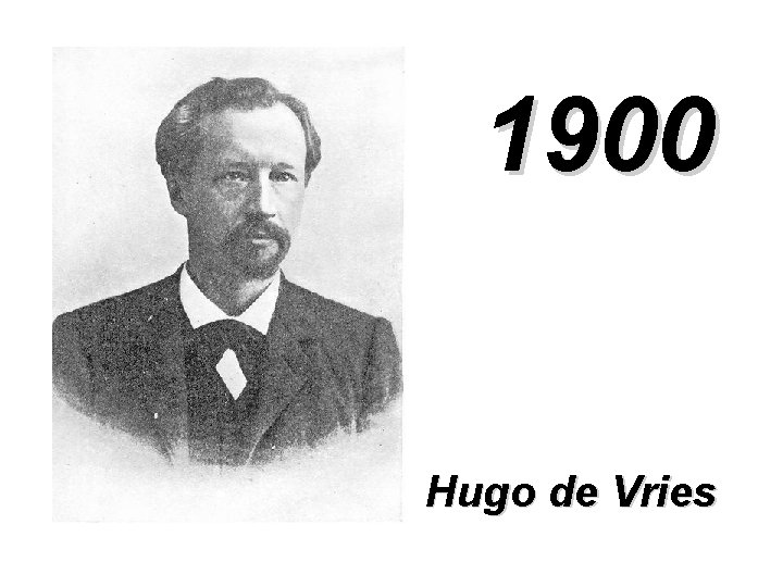 1900 Hugo de Vries 