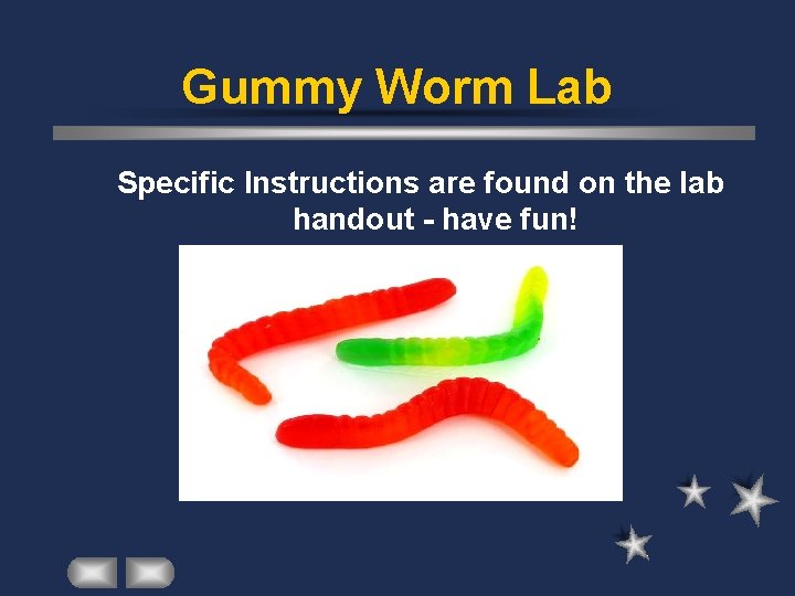 Gummy Worm Lab Specific Instructions are found on the lab handout - have fun!