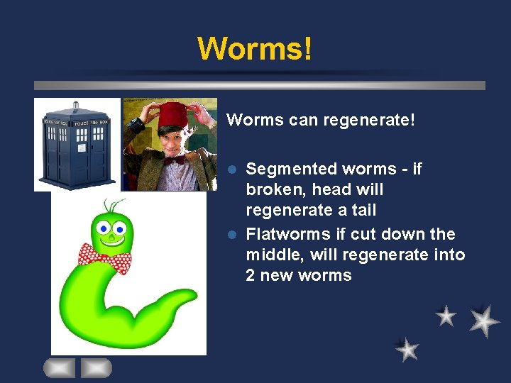 Worms! Worms can regenerate! Segmented worms - if broken, head will regenerate a tail