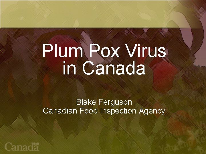 Plum Pox Virus in Canada Blake Ferguson Canadian Food Inspection Agency 