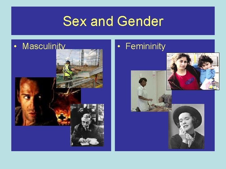 Sex and Gender • Masculinity • Femininity 
