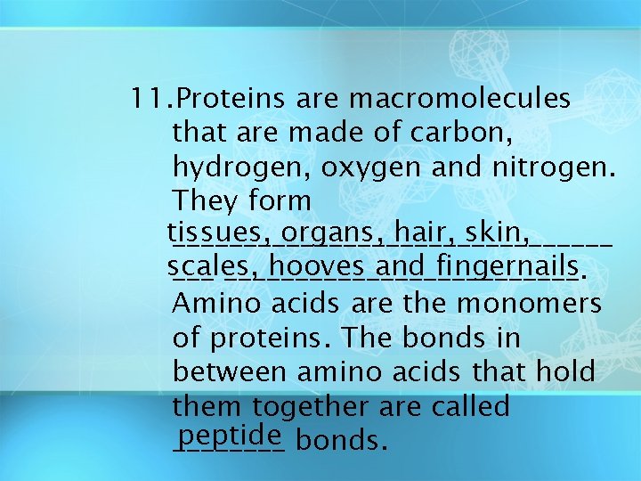 11. Proteins are macromolecules that are made of carbon, hydrogen, oxygen and nitrogen. They