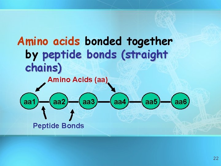 Amino acids bonded together by peptide bonds (straight chains) Amino Acids (aa) aa 1
