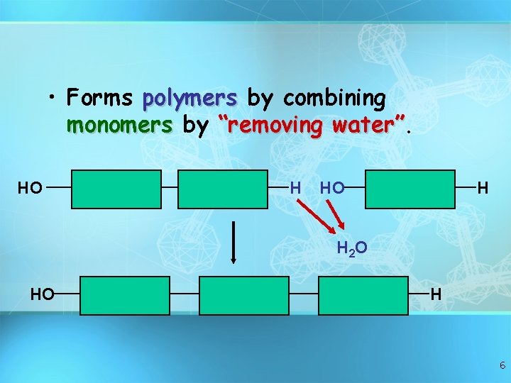  • Forms polymers by combining monomers by “removing water”. HO H H 2