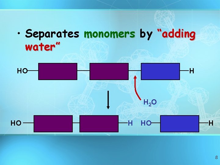  • Separates monomers by “adding water” HO H H 2 O HO H