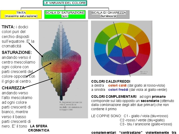 TINTA: i dodici colori puri del cerchio disposti sull’equatore. E’ la cromaticità SATURAZIONE: andando