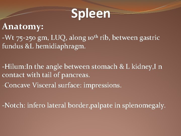 Anatomy: Spleen -Wt 75 -250 gm, LUQ, along 10 th rib, between gastric fundus