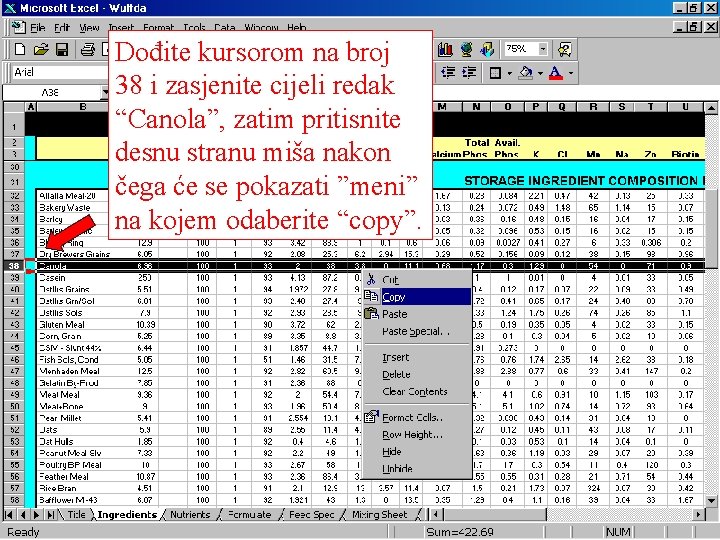 Dođite kursorom na broj 38 i zasjenite cijeli redak “Canola”, zatim pritisnite desnu stranu