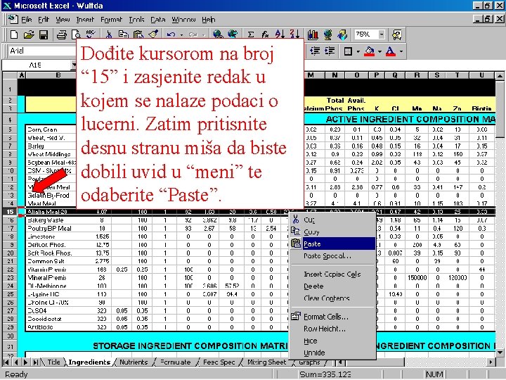 Dođite kursorom na broj “ 15” i zasjenite redak u kojem se nalaze podaci