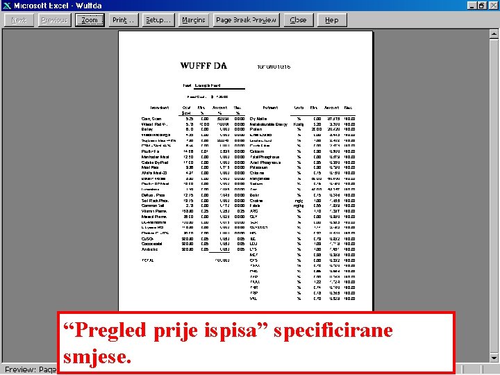 “Pregled prije ispisa” specificirane smjese. 