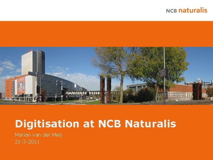 Digitisation at NCB Naturalis Marian van der Meij 21 -3 -2011 