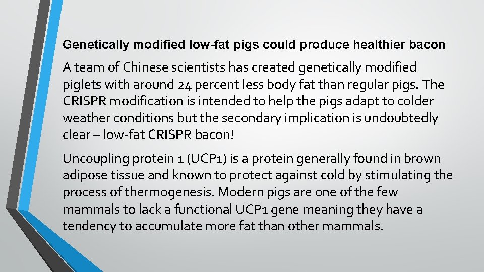 Genetically modified low-fat pigs could produce healthier bacon A team of Chinese scientists has