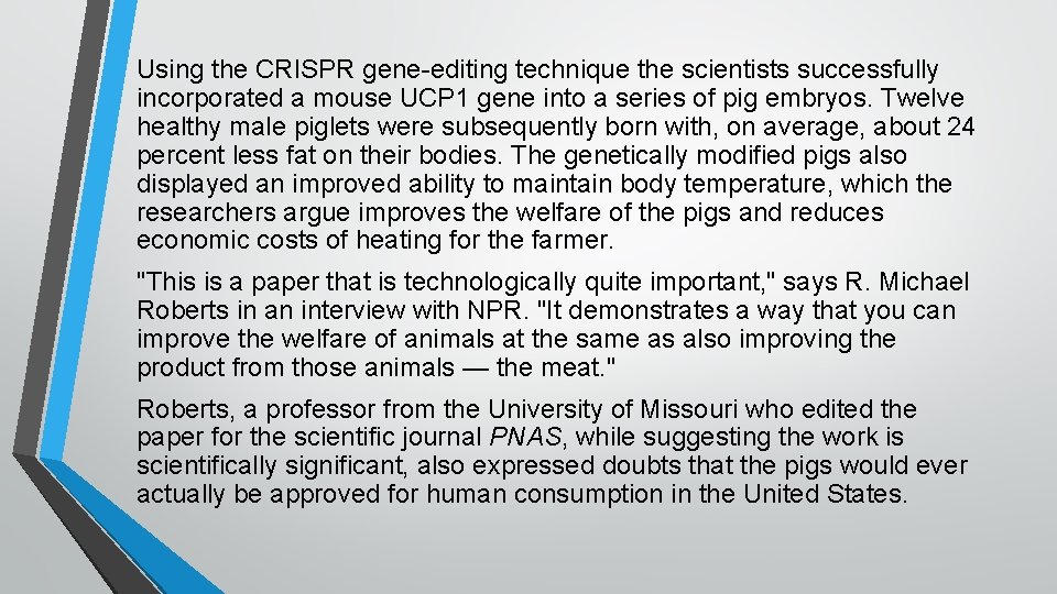 Using the CRISPR gene-editing technique the scientists successfully incorporated a mouse UCP 1 gene