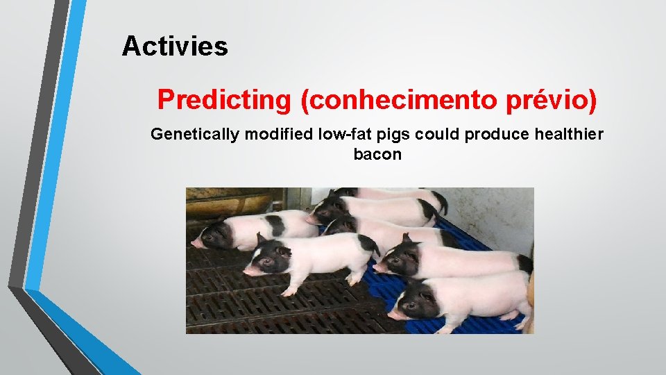 Activies Predicting (conhecimento prévio) Genetically modified low-fat pigs could produce healthier bacon 