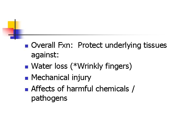 n n Overall Fxn: Protect underlying tissues against: Water loss (*Wrinkly fingers) Mechanical injury