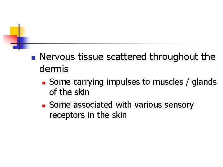 n Nervous tissue scattered throughout the dermis n n Some carrying impulses to muscles