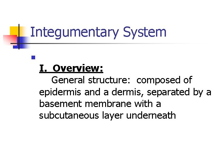 Integumentary System n I. Overview: General structure: composed of epidermis and a dermis, separated