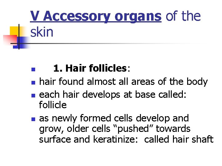 V Accessory organs of the skin n n 1. Hair follicles: hair found almost