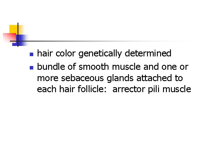 n n hair color genetically determined bundle of smooth muscle and one or more