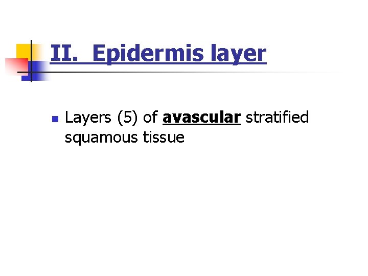 II. Epidermis layer n Layers (5) of avascular stratified squamous tissue 