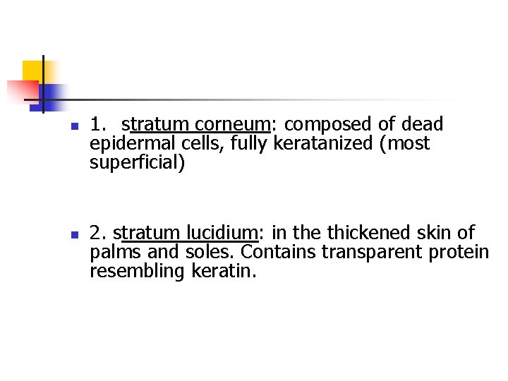 n n 1. stratum corneum: composed of dead epidermal cells, fully keratanized (most superficial)