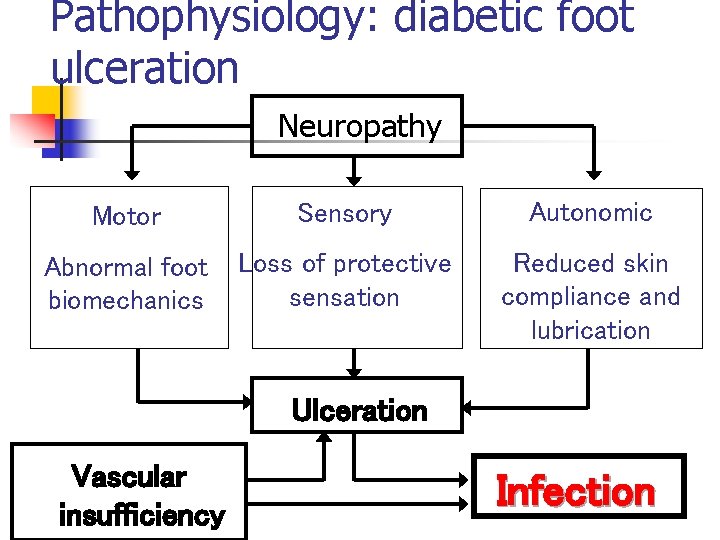 Pathophysiology: diabetic foot ulceration Neuropathy Motor Sensory Autonomic Abnormal foot biomechanics Loss of protective