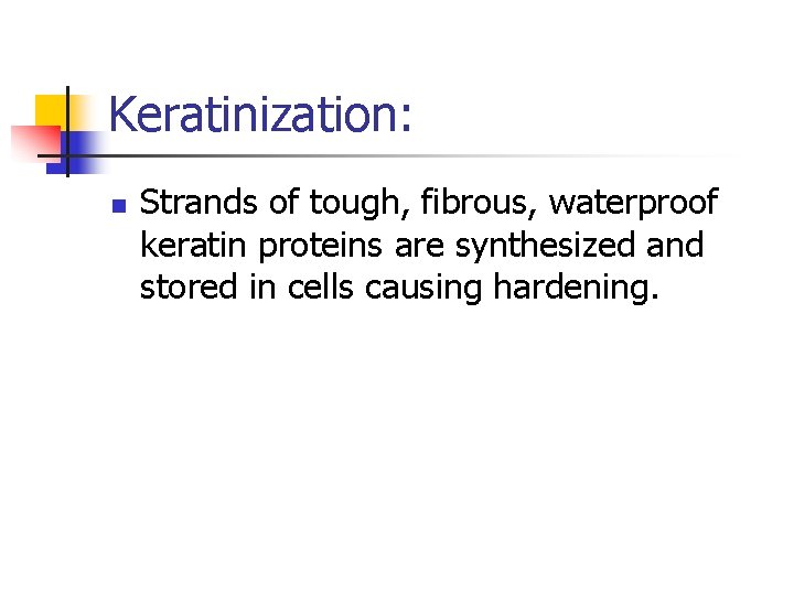 Keratinization: n Strands of tough, fibrous, waterproof keratin proteins are synthesized and stored in