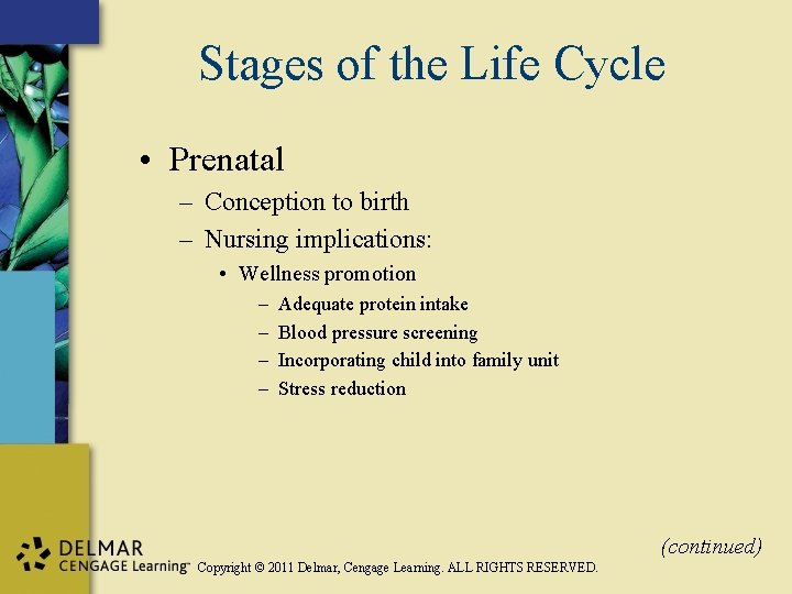 Stages of the Life Cycle • Prenatal – Conception to birth – Nursing implications: