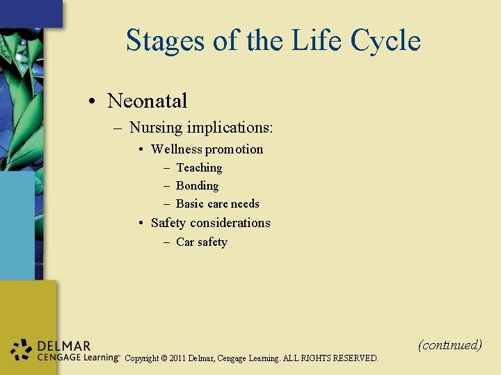 Stages of the Life Cycle • Neonatal – Nursing implications: • Wellness promotion –
