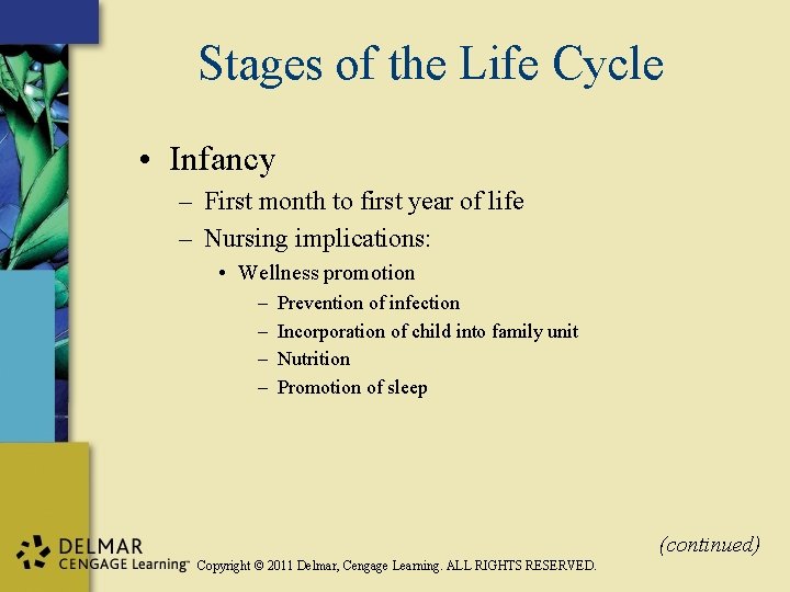 Stages of the Life Cycle • Infancy – First month to first year of