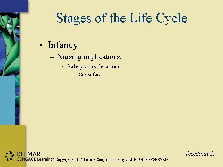 Stages of the Life Cycle • Infancy – Nursing implications: • Safety considerations –