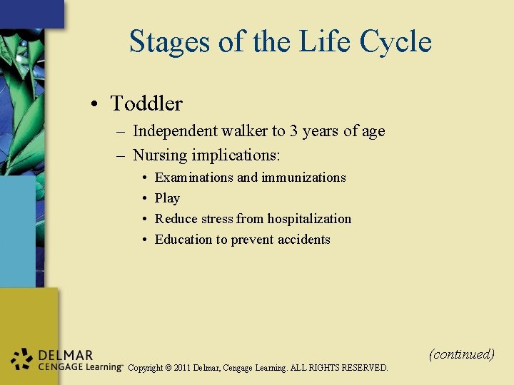 Stages of the Life Cycle • Toddler – Independent walker to 3 years of