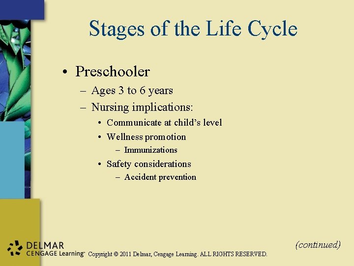 Stages of the Life Cycle • Preschooler – Ages 3 to 6 years –