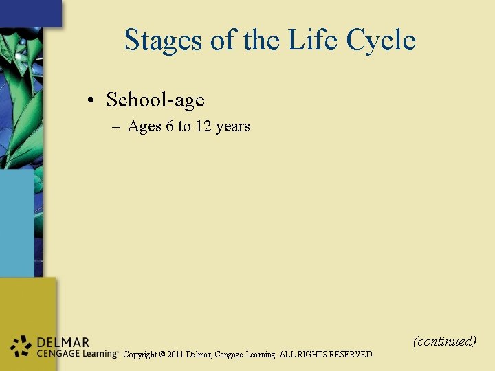 Stages of the Life Cycle • School-age – Ages 6 to 12 years (continued)