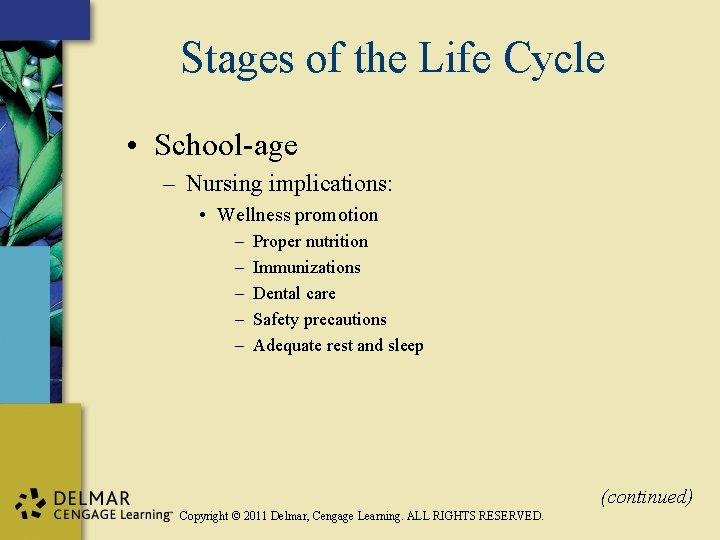 Stages of the Life Cycle • School-age – Nursing implications: • Wellness promotion –