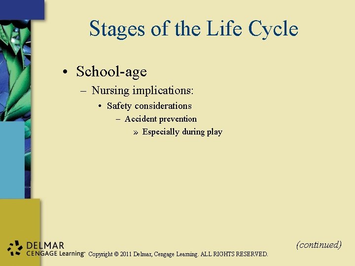 Stages of the Life Cycle • School-age – Nursing implications: • Safety considerations –